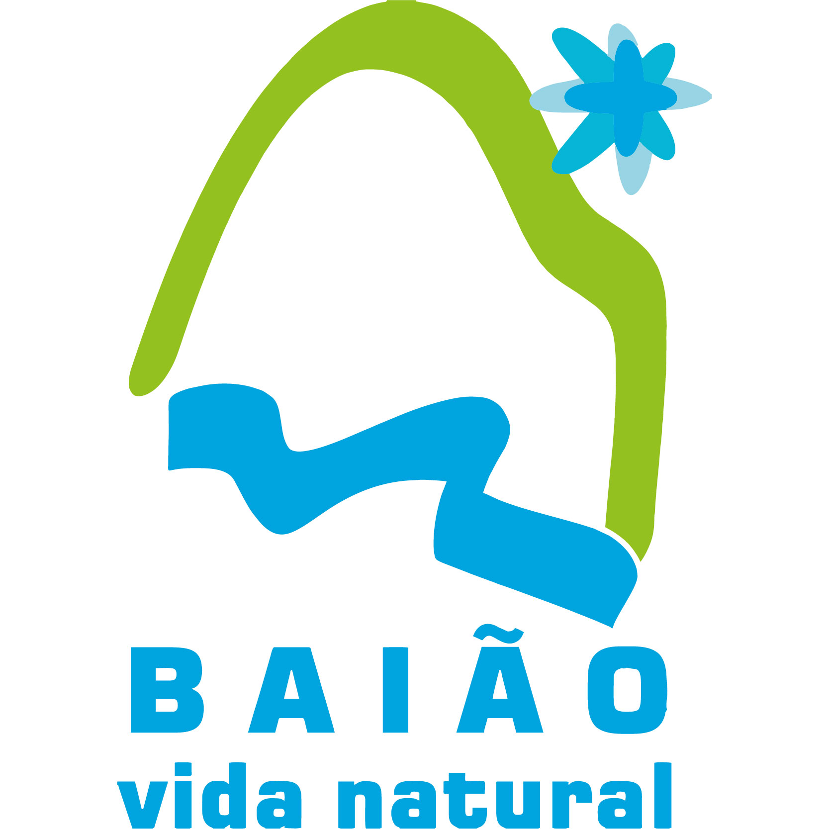 Município de Baião